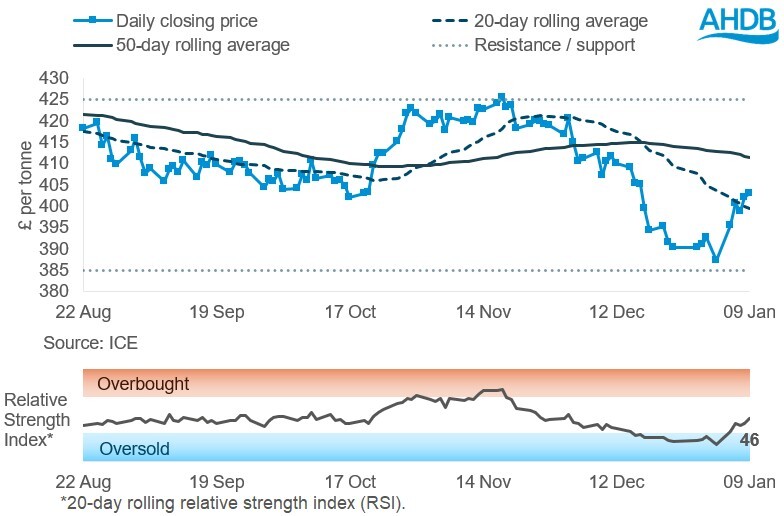 Graph showing May-26 Paris rapeseed futures prices in £/t over the past six months